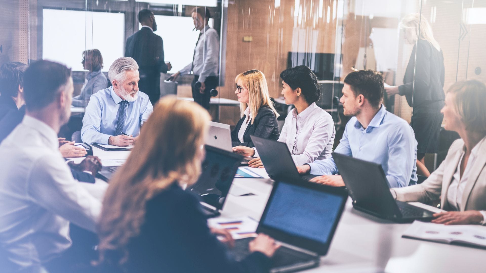 Business professionals in a meeting around a table on their laptops